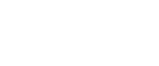 rindhca canvas